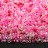 Бисер японский MIYUKI Delica цилиндр 11/0 DB-MIX9068 розовый Bubble Gum, 5 грамм - Бисер японский MIYUKI Delica цилиндр 11/0 DB-MIX9068 розовый Bubble Gum, 5 грамм