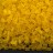 Бисер чешский PRECIOSA рубка 1"(2,54мм) 80010М матовый желтый прозрачный, 50г - Бисер чешский PRECIOSA рубка 1"(2,54мм) 80010М матовый желтый прозрачный, 50г