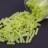 Бисер японский Miyuki Twisted Bugle 2х6мм #0258F-R chartreuse, матовый радужный прозрачный, 1 упаковка (около 13 грамм) - Бисер японский Miyuki Twisted Bugle 2х6мм #0258F-R chartreuse, матовый радужный прозрачный, 1 упаковка (около 13 грамм)