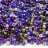 Бисер чешский PRECIOSA Микс 10/0 #022, оттенок фиолетовый, 50г - Бисер чешский PRECIOSA Микс 10/0 #022, оттенок фиолетовый, 50г