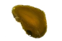 Срез Агата природного, оттенок желтый, 65х45х6мм, отверстие 2мм, 37-018, 1шт