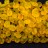 Бусины SuperDuo 2,5х5мм, отверстие 0,8мм, цвет 80020/84110 желтый матовый, 706-141, 10г (около 120шт) - Бусины SuperDuo 2,5х5мм, отверстие 0,8мм, цвет 80020/84110 желтый матовый, 706-141, 10г (около 120шт)