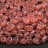 Бусины MiniDuo 2х4мм, отверстие 0,7мм, цвет 71010 розовый молочный, 707-059, 5г (около 115шт) - Бусины MiniDuo 2х4мм, отверстие 0,7мм, цвет 71010 розовый молочный, 707-059, 5г (около 115шт)