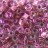 Бисер японский TOHO Cube кубический 3мм #0267 хрусталь/розовое золото, окрашенный изнутри, 5 грамм - Бисер японский TOHO Cube кубический 3мм #0267 хрусталь/розовое золото, окрашенный изнутри, 5 грамм