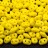 Бусины SuperDuo 2,5х5мм, отверстие 0,8мм, цвет 83120 желтый, 706-122, 10г (около 120шт) - Бусины SuperDuo 2,5х5мм, отверстие 0,8мм, цвет 83120 желтый, 706-122, 10г (около 120шт)