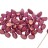 Бусины Pinch beads 5х3мм, отверстие 0,8мм, цвет 00030/29259 Персидский розовый, прозрачный, 755-042, 10г (около 117шт) - Бусины Pinch beads 5х3мм, отверстие 0,8мм, цвет 00030/29259 Персидский розовый, прозрачный, 755-042, 10г (около 117шт)