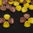 Бусины Rose Petal beads 8мм, отверстие 0,5мм, цвет 03000/95401 желто-коричневый, 734-022, ~10г (~50шт) - Бусины Rose Petal beads 8мм, отверстие 0,5мм, цвет 03000/95401 желто-коричневый, 734-022, ~10г (~50шт)