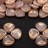 Бусины Rose Petal beads 8мм, отверстие 0,5мм, цвет 07724/56902 кремовый, золотое сияние, 734-011, около 10г (около 50шт) - Бусины Rose Petal beads 8мм, отверстие 0,5мм, цвет 07724/56902 кремовый, золотое сияние, 734-011, около 10г (около 50шт)