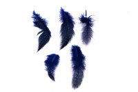 Перо декоративное окрашенное 6-12 см, цвет синий, 1003-015, 5 шт
