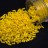 Бисер японский Miyuki Bugle стеклярус 3мм #0404 желтый, непрозрачный, 10 грамм - Бисер японский Miyuki Bugle стеклярус 3мм #0404 желтый, непрозрачный, 10 грамм