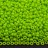 Бисер японский MIYUKI круглый 11/0 #4471 неоновый зеленый, непрозрачный Duracoat, 10 грамм - Бисер японский MIYUKI круглый 11/0 #4471 неоновый зеленый, непрозрачный Duracoat, 10 грамм