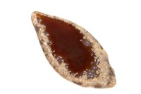 Срез Агата природного, оттенок коричневый, 74х34х6мм, отверстие 2мм, 37-474, 1шт