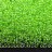 Бисер японский MIYUKI круглый 15/0 #0228 зеленый/хрусталь, окрашенный изнутри, 10 грамм - Бисер японский MIYUKI круглый 15/0 #0228 зеленый/хрусталь, окрашенный изнутри, 10 грамм