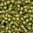 Бисер японский TOHO круглый 6/0 #0945 нарцисс/мятный сироп, окрашенный изнути, 10 грамм - Бисер японский TOHO круглый 6/0 #0945 нарцисс/мятный сироп, окрашенный изнути, 10 грамм