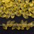 Бисер японский MIYUKI Long Magatama #2101F светлый желтый, матовый прозрачный, 10 грамм - Бисер японский MIYUKI Long Magatama #2101F светлый желтый, матовый прозрачный, 10 грамм