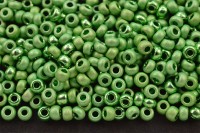 Бисер чешский PRECIOSA круглый 10/0 18556М/ГЛ матовый/глянцевый зеленый металлик, 5 грамм