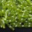 Бисер японский Miyuki Twisted Bugle 2,7х12мм #0258 chartreuse, радужный прозрачный, 10 грамм - Бисер японский Miyuki Twisted Bugle 2,7х12мм #0258 chartreuse, радужный прозрачный, 10 грамм