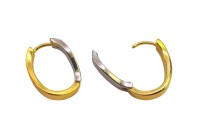 Серьги Конго Овал 19х15х4мм, латунь, родий/позолота, 21-436, 1 пара