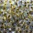 Бисер японский TOHO Magatama 3мм #0262 хрусталь/золото, окрашенный изнутри, 5 грамм - Бисер японский TOHO Magatama 3мм #0262 хрусталь/золото, окрашенный изнутри, 5 грамм
