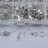Набор фурнитуры для бижутерии и создания украшений, платина, 01-01-11, 1уп - Набор фурнитуры для бижутерии и создания украшений, платина, 01-01-11, 1уп