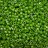 Бисер японский TOHO Treasure цилиндрический 11/0 #0407 зеленая мята, радужный непрозрачный, 5 грамм - Бисер японский TOHO Treasure цилиндрический 11/0 #0407 зеленая мята, радужный непрозрачный, 5 грамм