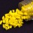 Бисер японский MIYUKI Half TILA #0404 желтый, непрозрачный, 5 грамм - Бисер японский MIYUKI Half TILA #0404 желтый, непрозрачный, 5 грамм