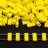 Бисер японский MIYUKI Half TILA #0404 желтый, непрозрачный, 5 грамм - Бисер японский MIYUKI Half TILA #0404 желтый, непрозрачный, 5 грамм