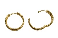 Серьги кольца Конго 20х20х4мм, латунь, позолота, 21-455, 1 пара
