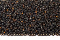 Бисер чешский PRECIOSA круглый 10/0 17140М матовый коричневый, серебряная линия внутри, квадратное отверстие, 2 сорт, 50г