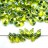 Бисер японский MIYUKI Long Magatama #0341 салатовый/зеленый, радужный, окрашенный изнутри, 10 грамм - Бисер японский MIYUKI Long Magatama #0341 салатовый/зеленый, радужный, окрашенный изнутри, 10 грамм
