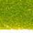 Бисер японский TOHO круглый 6/0 #0004 зеленый лайм, прозрачный, 10 грамм - Бисер японский TOHO круглый 6/0 #0004 зеленый лайм, прозрачный, 10 грамм