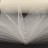 Фатин средней жесткости, ширина 15см, цвет молочный, 100% нейлон, 1035-011, 1 метр - Фатин средней жесткости, ширина 15см, цвет молочный, 100% нейлон, 1035-011, 1 метр
