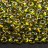 Бисер японский TOHO Magatama 3мм #0996 перидот радужный, золотая линия внутри, 5 грамм - Бисер японский TOHO Magatama 3мм #0996 перидот радужный, золотая линия внутри, 5 грамм