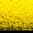 Бисер японский MIYUKI Delica цилиндр 11/0 DB-0751 желтый, матовый непрозрачный, 5 грамм - Бисер японский MIYUKI Delica цилиндр 11/0 DB-0751 желтый, матовый непрозрачный, 5 грамм
